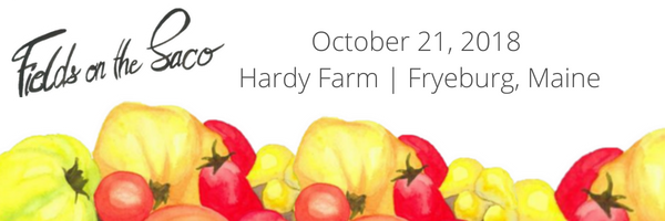 FOTS-Banner-Mailchimp